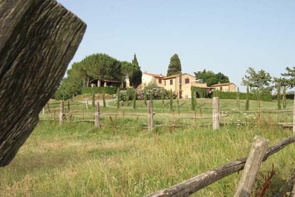 Farmhouse Il Poggio - Casale Marittimo - Pisa - Tuscany